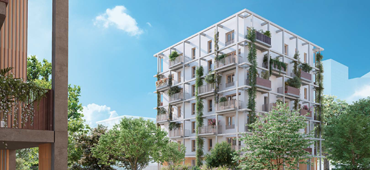 Bordeaux (33) - Andamio
