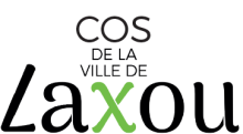 Bénéficiaires du COS de la ville de LAXOU profitez du dispositif de prêts bonifiés mis à votre disposition.