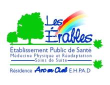 Logo Établissement Public de Santé Les Érables Logo Établissement Public de Santé Les Érables