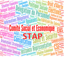 Logo CE STAPS IDELIS Logo CE STAPS IDELIS