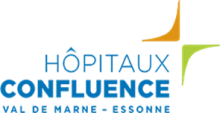 Logo CHI DE VILLENEUVE SAINT GEORGES Logo CHI DE VILLENEUVE SAINT GEORGES