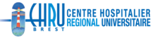 Logo CHRU BREST Logo CHRU BREST