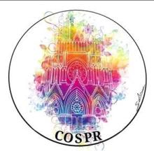 Logo COS police de Reims Logo COS police de Reims