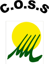 Logo COSS DE MONT-DE-MARSAN Logo COSS DE MONT-DE-MARSAN