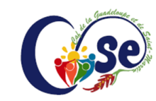 Logo CSE CAF GUADELOUPE Logo CSE CAF GUADELOUPE