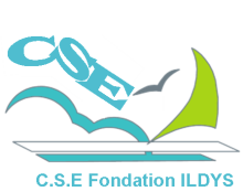 Logo CSE de la Fondation ILDYS Logo CSE de la Fondation ILDYS