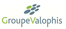 Logo CSE du groupe VALOPHIS Logo CSE du groupe VALOPHIS