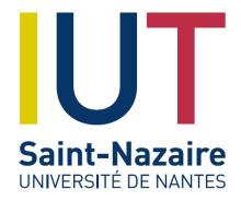 Logo IUT-Saint Nazaire Logo IUT-Saint Nazaire