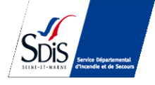 Logo SDIS77 Logo SDIS77