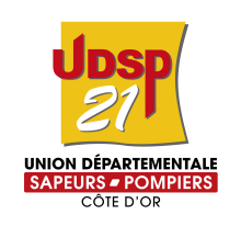 Logo UDSP21 Logo UDSP21