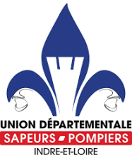 Logo UDSP37 Logo UDSP37