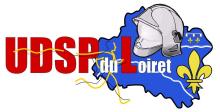 Logo UDSP45 Logo UDSP45