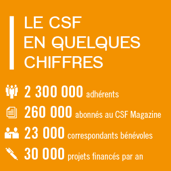 CSF-en-quelques-chiffres
